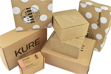 Expressleverans Lådor i Zwijnaarde BE